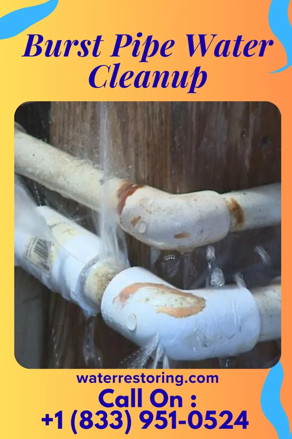 Burst Pipe Water Cleanup in Avon, MN