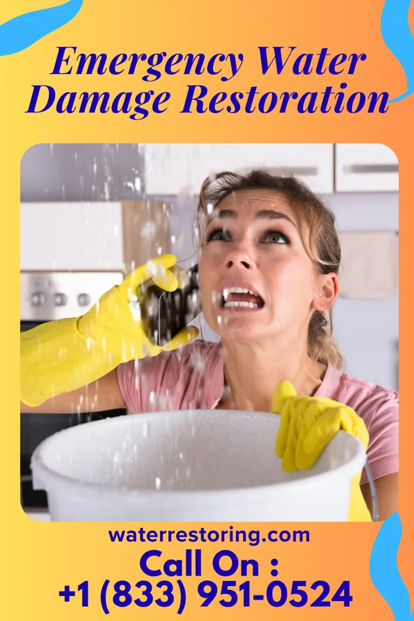Emergency Water Damage Restoration in Avon, MN